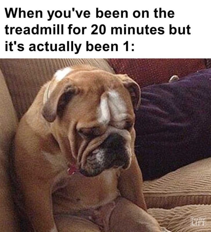 When You've Been On The Treadmill For Minutes But It's Actually Been