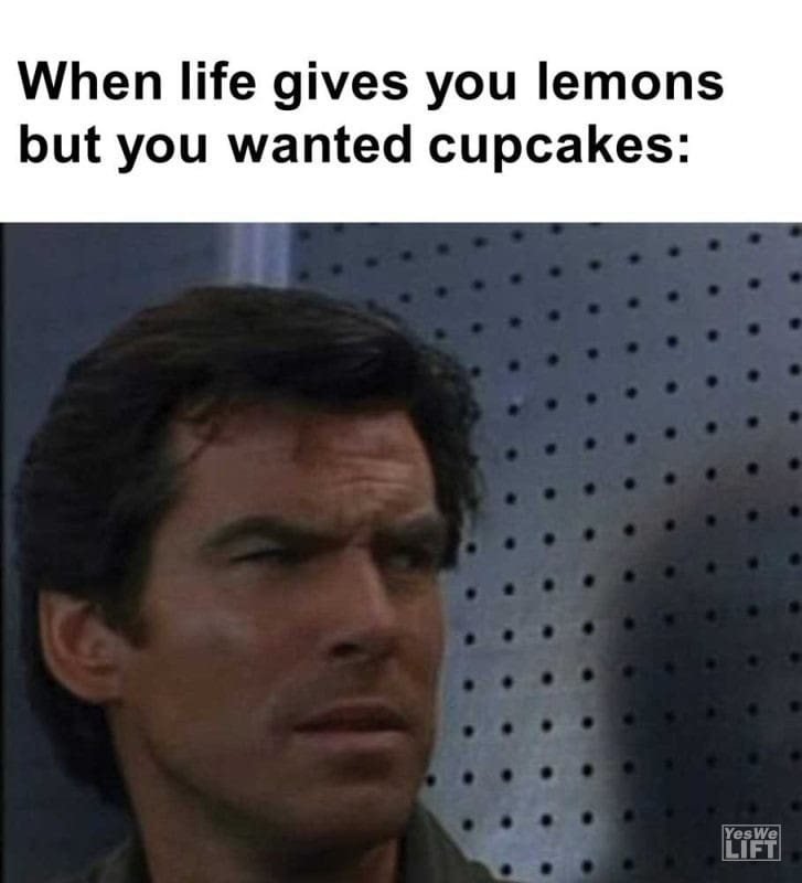 When Life Gives You Lemons But You Wanted Cupcakes