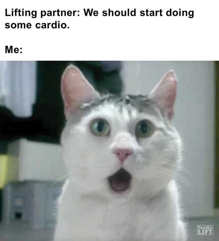 Lifting Partner We Should Start Doing Some Cardio Me