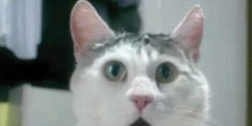 When You Hear Someone Say 'i Don't Train Legs'