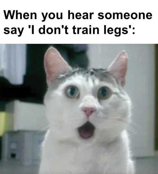 When You Hear Someone Say 'i Don't Train Legs'