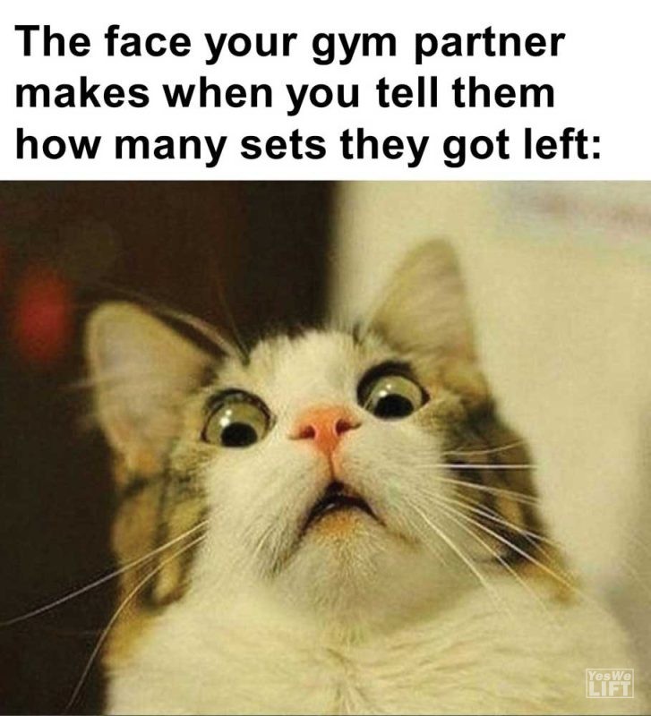 The Face Your Gym Partner Makes When You Tell Them How Many Sets They Got Left