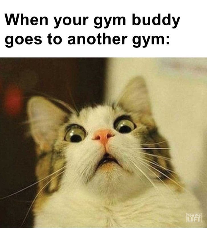 When Your Gym Buddy Goes To Another Gym