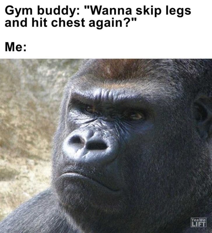 Gym Buddy Wanna Skip Legs And Hit Chest Again Me