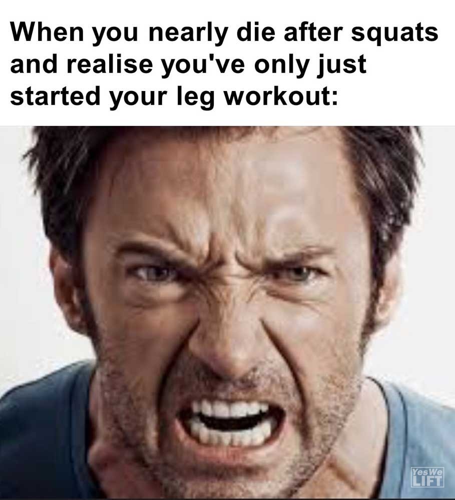 When You Nearly Die After Squats And Realise You've Only Just Started Your Leg Workout