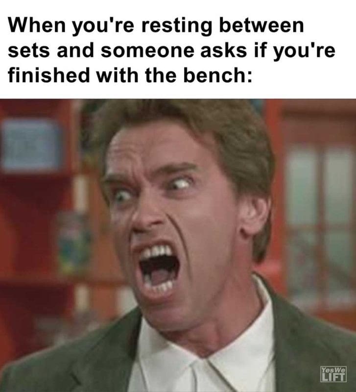 When You're Resting Between Sets And Someone Asks If You're Finished With The Bench