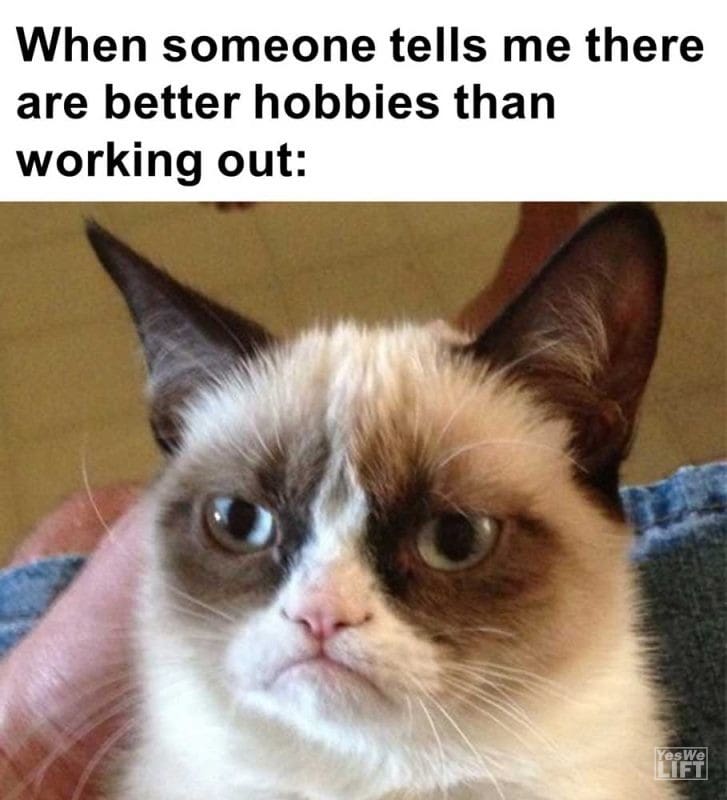 When Someone Tells Me There Are Better Hobbies Than Working Out