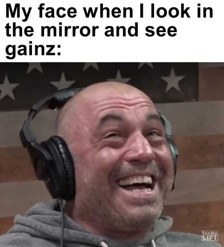 My Face When I Look In The Mirror And See Gainz