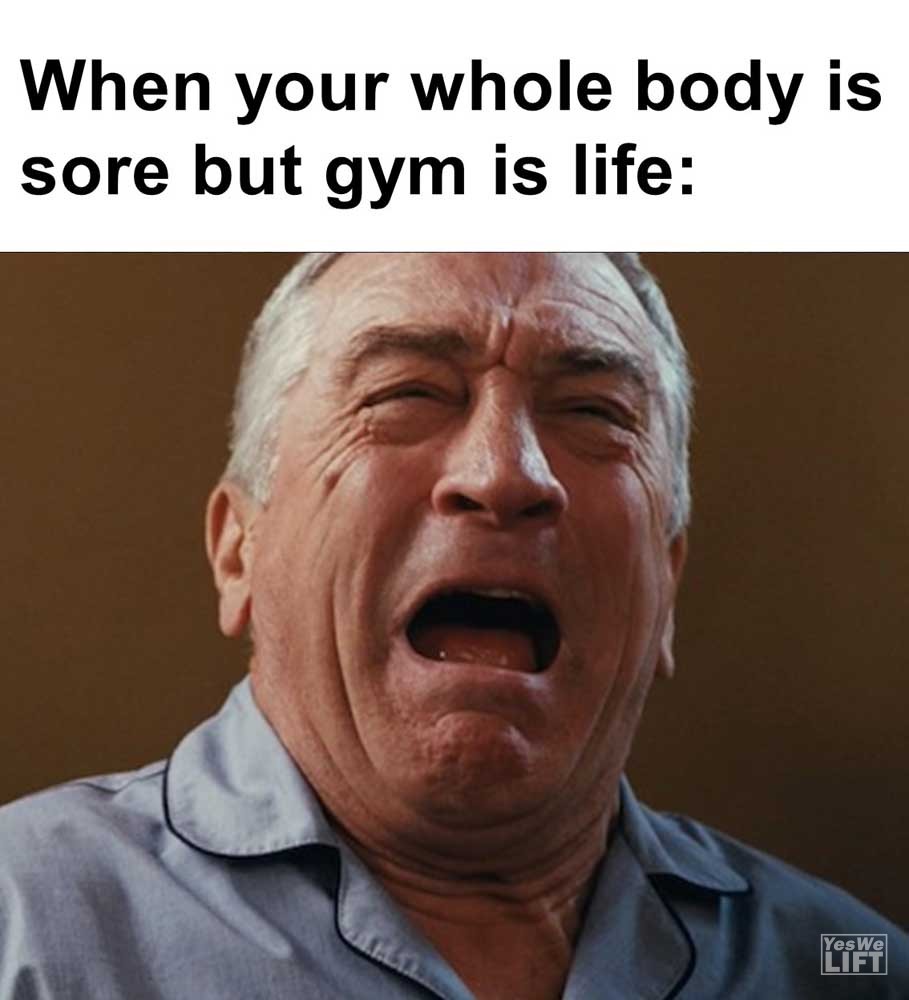 When Your Whole Body Is Sore But Gym Is Life