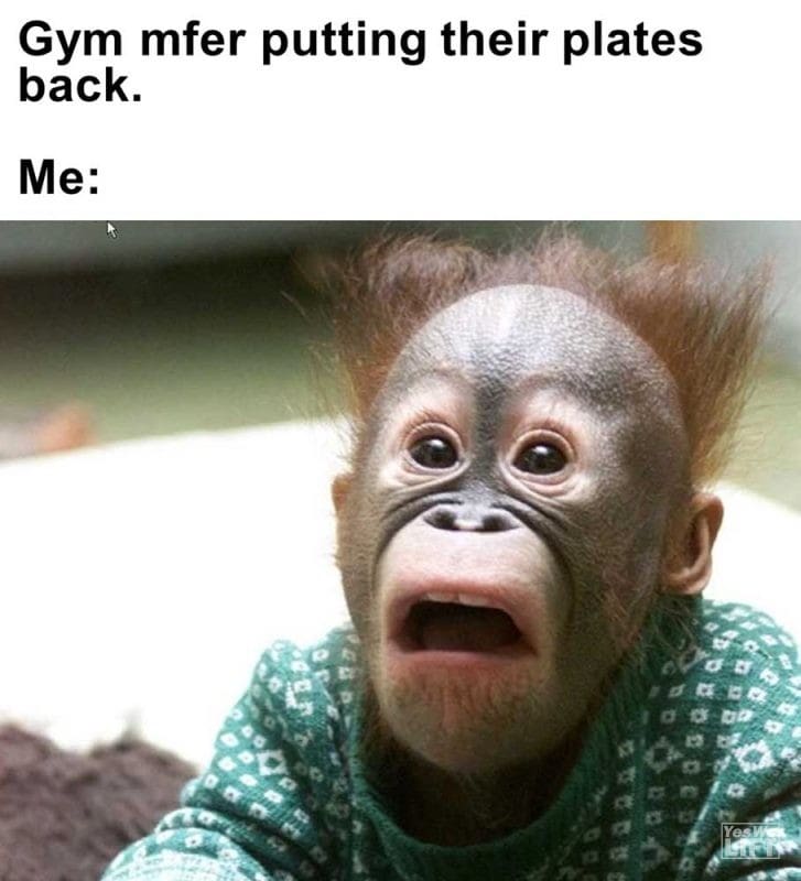 Gym Mfer Putting Their Plates Back Me