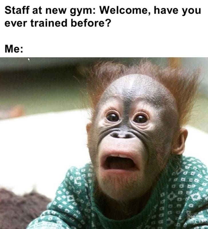 Staff At New Gym Welcome Have You Ever Trained Before Me