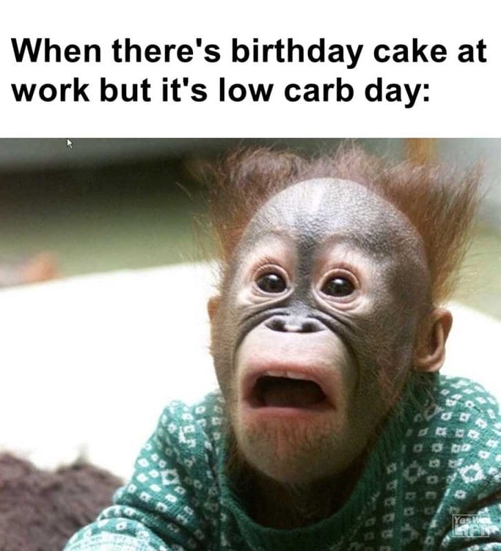 When There's Birthday Cake At Work But It's Low Carb Day