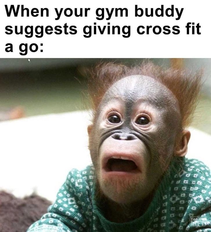 When Your Gym Buddy Suggests Giving Cross Fit A Go