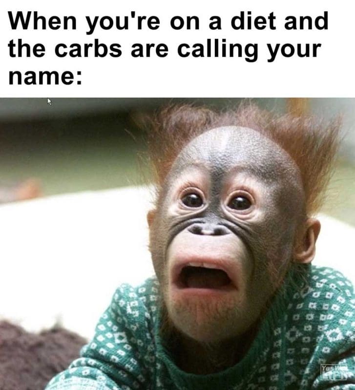 When You're On A Diet And The Carbs Are Calling Your Name