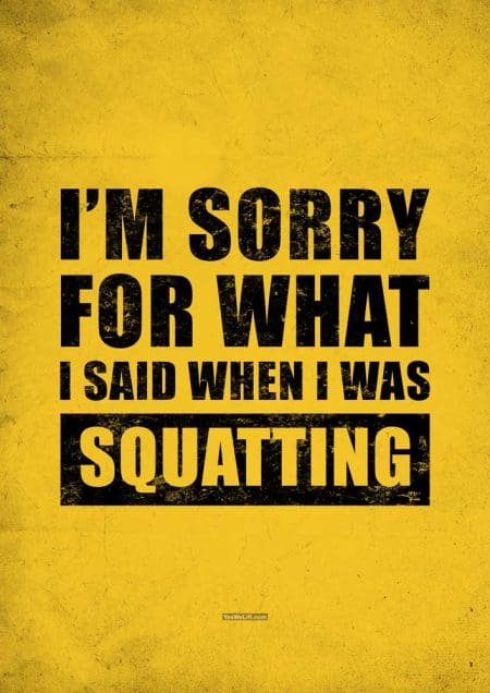 I'm Sorry For What I Said When I Was Squatting