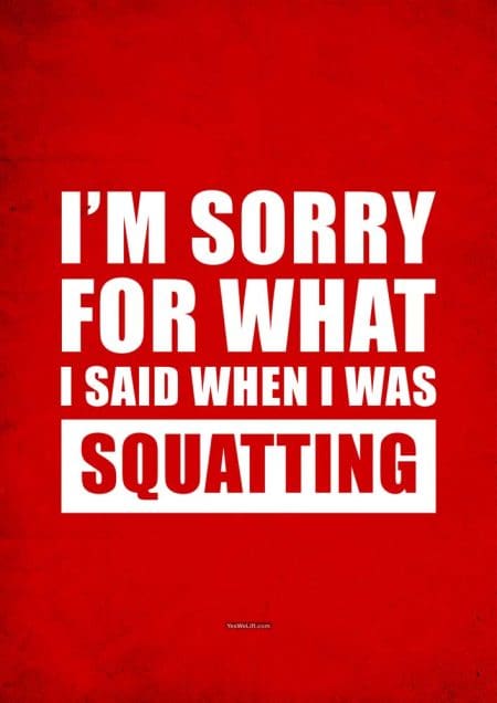 I'm Sorry For What I Said When I Was Squatting