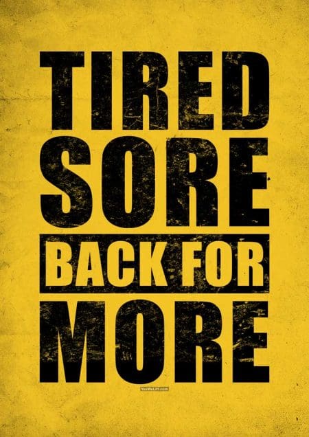 Tired Sort Back For More