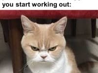 When You've Been Lifting For Years And Someone Suggests You Start Working Out