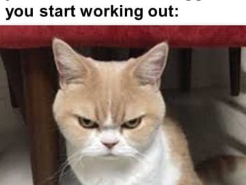 When You've Been Lifting For Years And Someone Suggests You Start Working Out