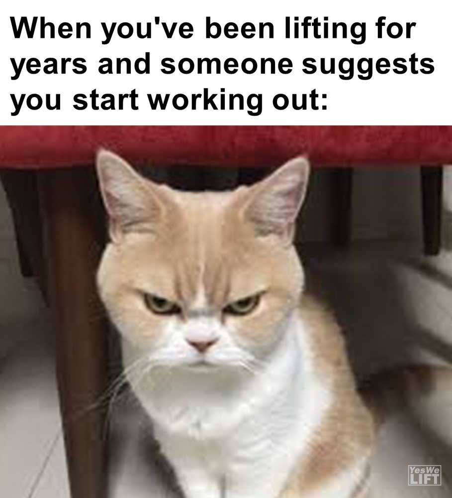 When You've Been Lifting For Years And Someone Suggests You Start Working Out