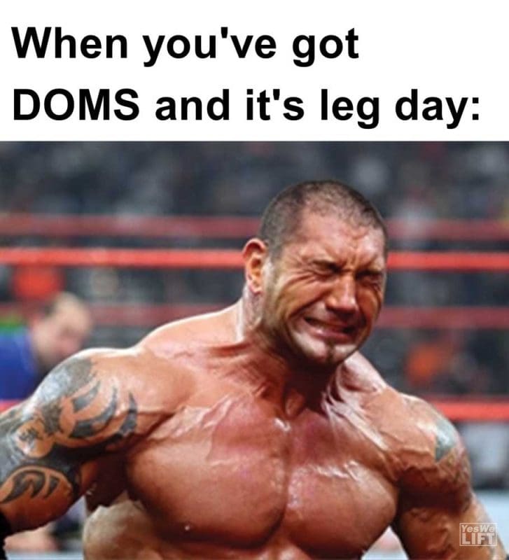 When You've Got Doms And It's Leg Day