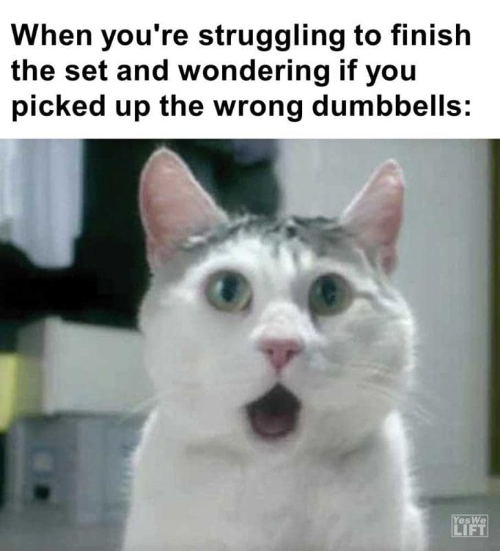 When You're Struggling To Finish The Set And Wondering If You Picked Up The Wrong Dumbbells