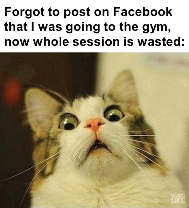Forgot To Post On Facebook That I Was Going To The Gym Now Whole Session Is Wasted