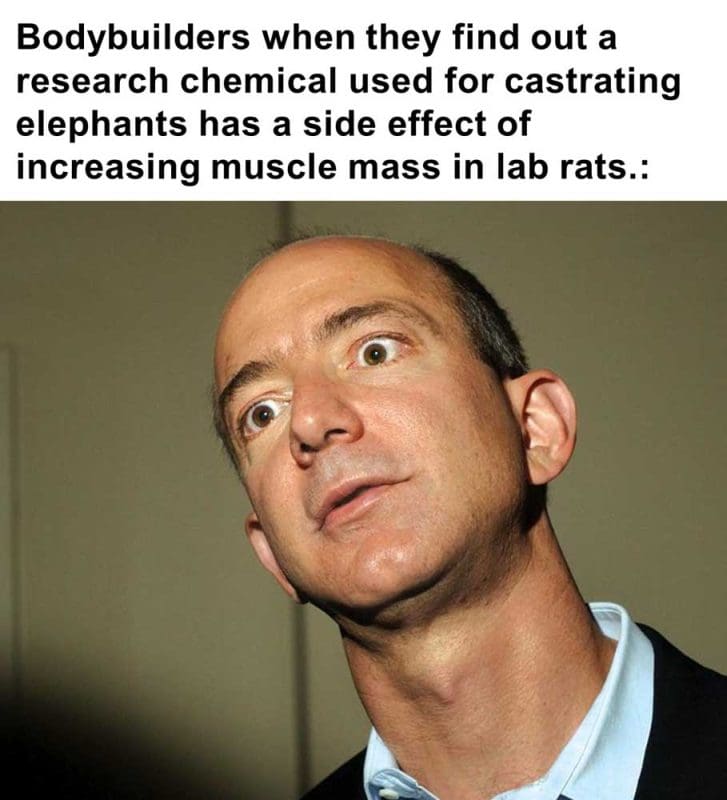 Bodybuilders When They Find Out A Research Chemical Used For Castrating Elephants H