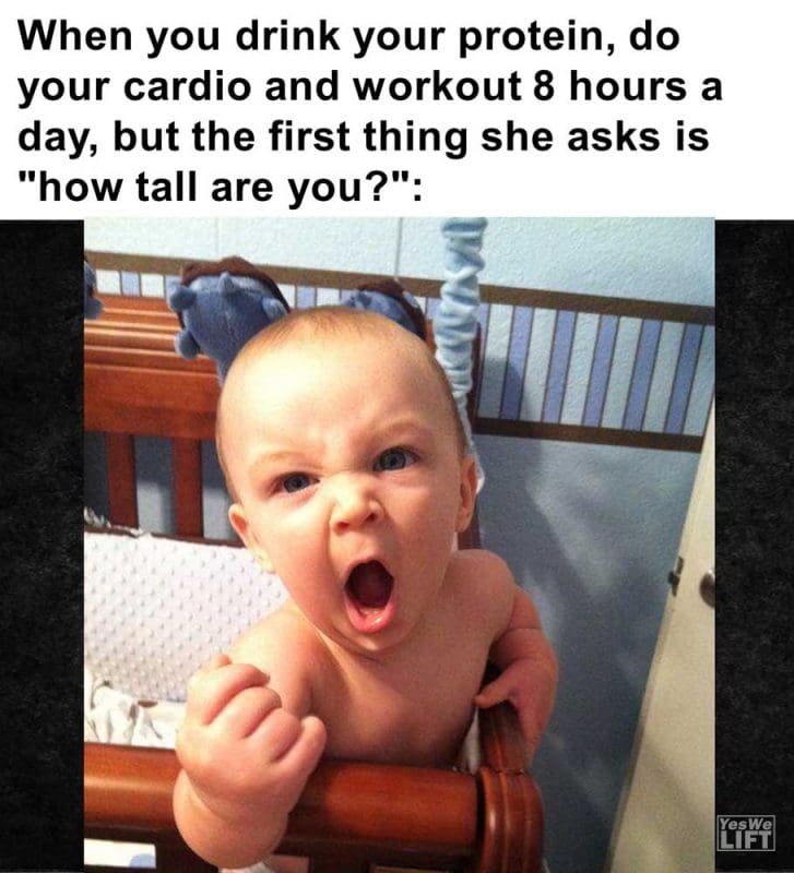 When You Drink Your Protein Do Your Cardio And Workout Hours A Day But The First Thing She Asks Is