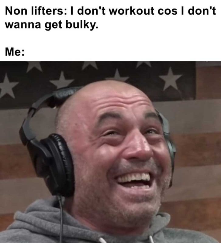 Non Lifters I Don't Workout Cos I Don't Wanna Get Bulky Me