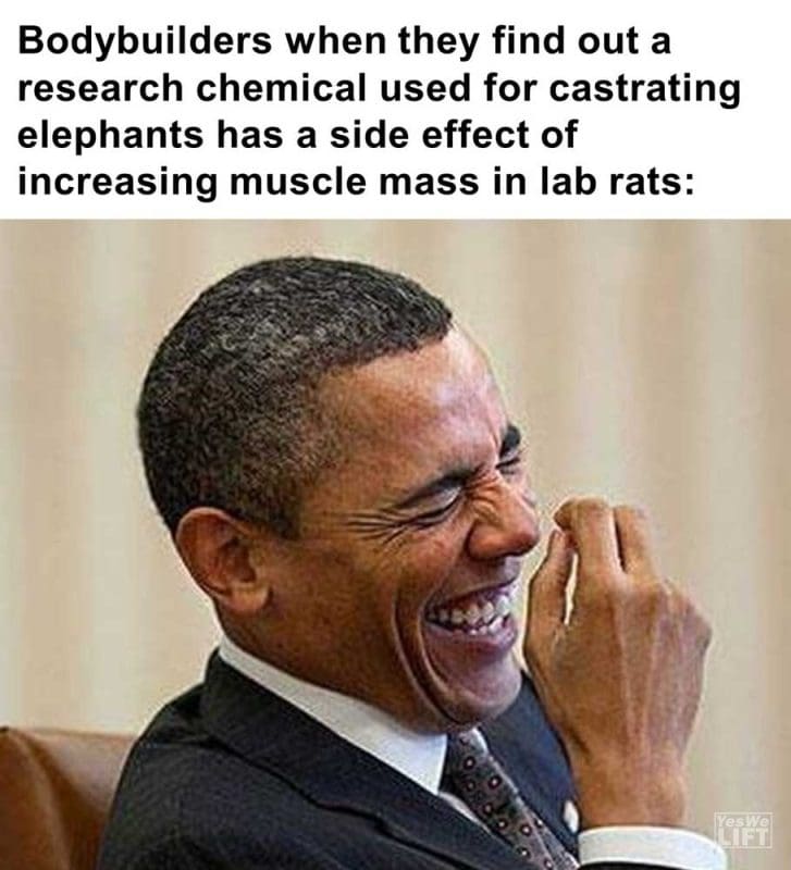 Bodybuilders When They Find Out A Research Chemical Used For Castrating Elephants Ha