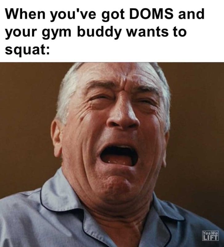 When You've Got Doms And Your Gym Buddy Wants To Squat