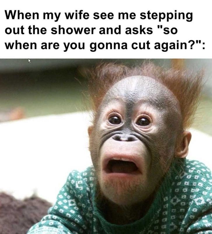 When My Wife See Me Stepping Out The Shower And Asks So When Are You Gonna Cut Again