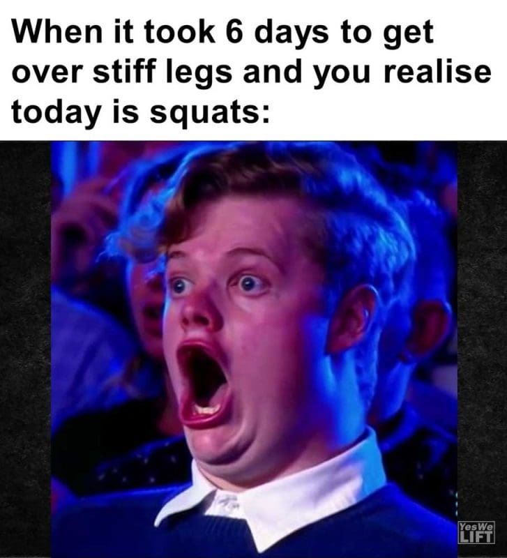 When It Took Days To Get Over Stiff Legs And You Realise Today Is Squats