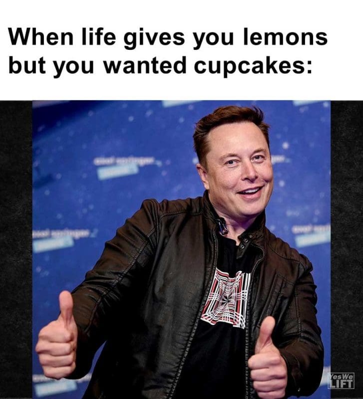 When Life Gives You Lemons But You Wanted Cupcakes