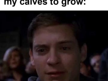 Everyday Waiting For My Calves To Grow