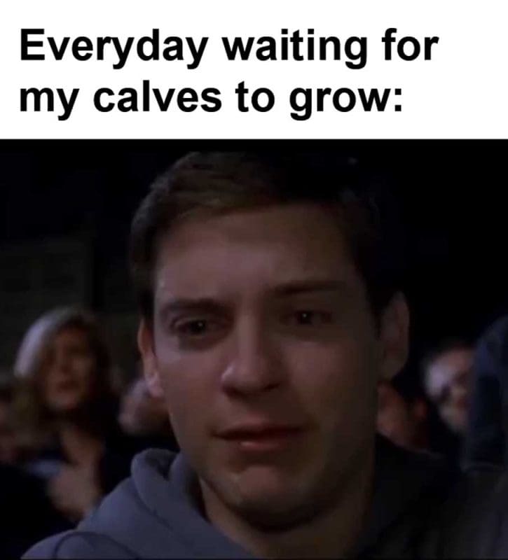 Everyday Waiting For My Calves To Grow