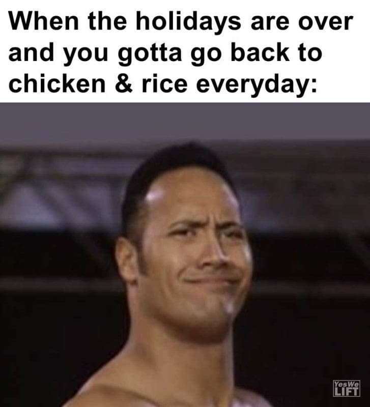When The Holidays Are Over And You Gotta Go Back To Chicken Rice Everyday