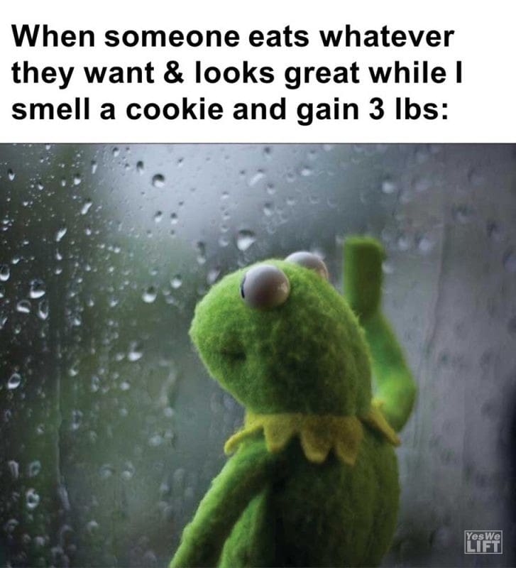 When Someone Eats Whatever They Want Looks Great While I Smell A Cookie And Gain Lbs