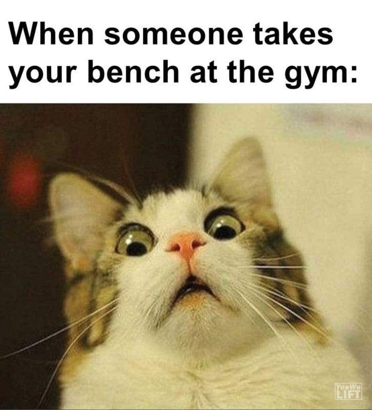 When Someone Takes Your Bench At The Gym