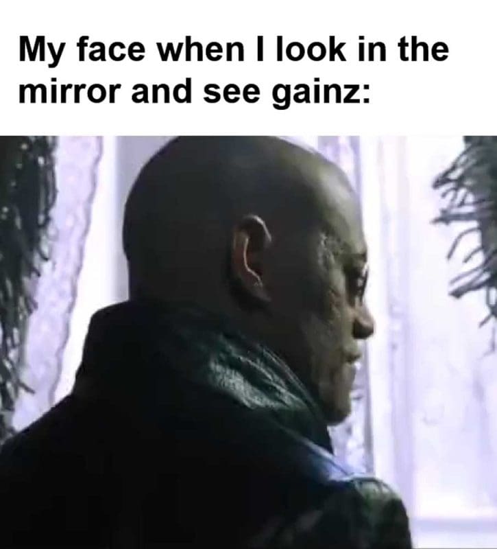 My Face When I Look In The Mirror And See Gainz