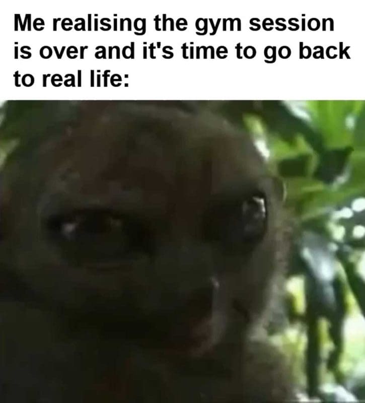 Me Realising The Gym Session Is Over And It's Time To Go Back To Real Life