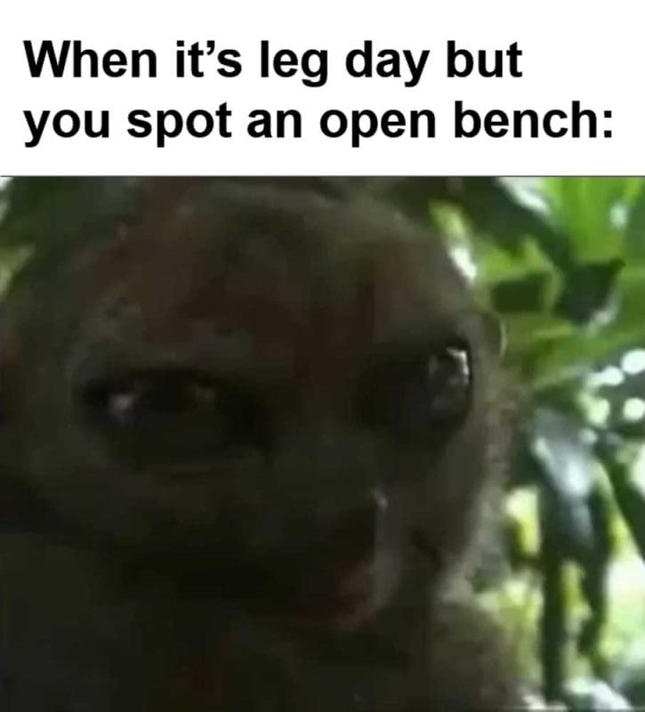 When Its Leg Day But You Spot An Open Bench