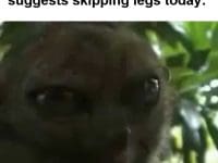 When Your Gym Buddy Suggests Skipping Legs Today