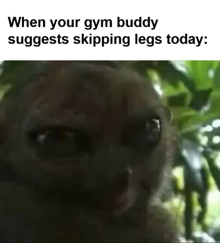 When Your Gym Buddy Suggests Skipping Legs Today