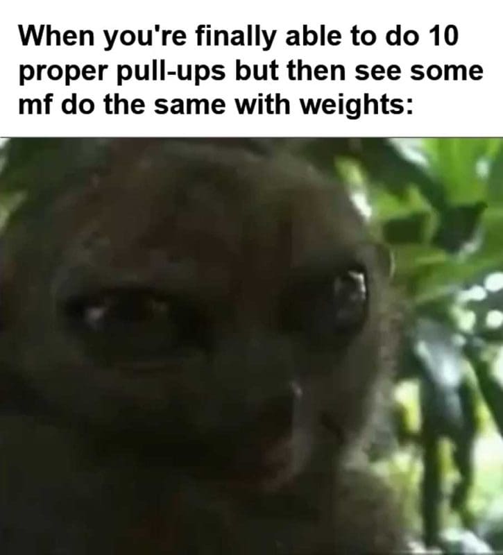 When You're Finally Able To Do Proper Pullups But Then See Some Mf Do The Same With Weights