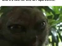 When You've Been Cutting All Week And It's Two For One At Papa Johns