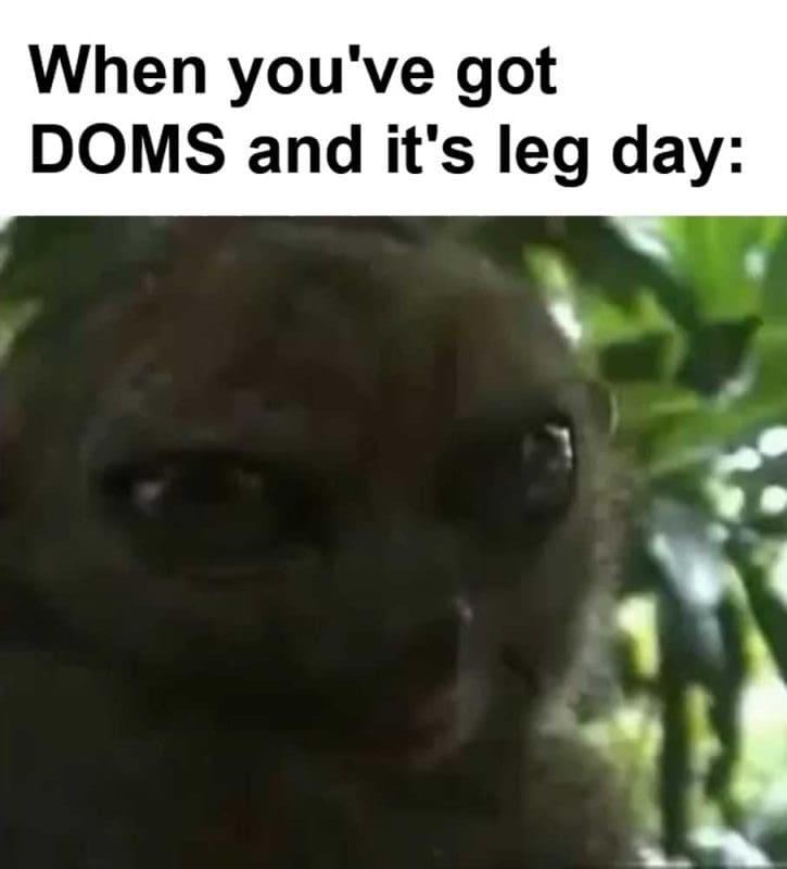When You've Got Doms And It's Leg Day