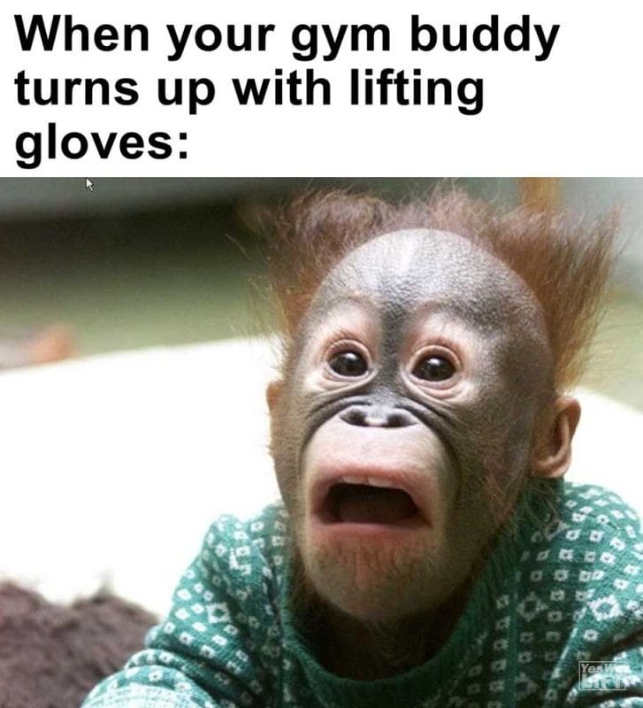 When Your Gym Buddy Turns Up With Lifting Gloves