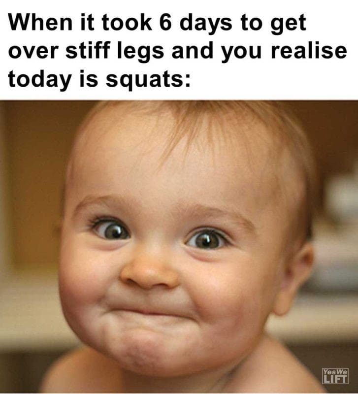 When It Took Days To Get Over Stiff Legs And You Realise Today Is Squats